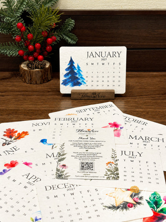 ✨Early Holiday Sale 45% OFF🌱Eco-Friendly Plantable Dream Seed Calendar 2027