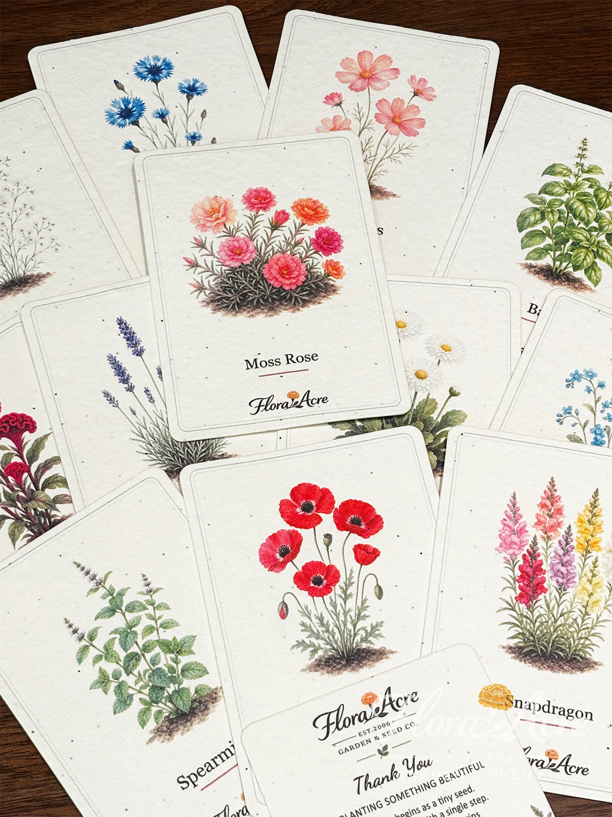 ✨Labor Day Pre-Sale 45% OFF🌱Eco-Friendly  Plantable Seed Cards