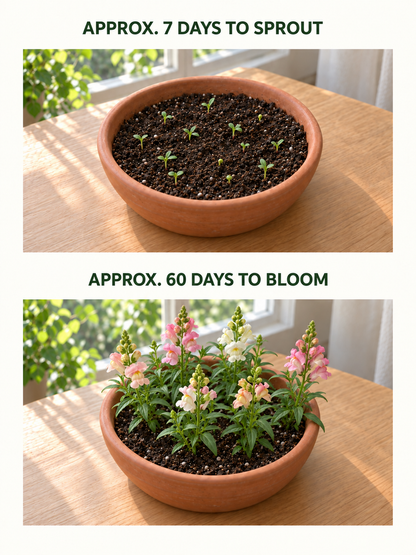✨Early Holiday Sale 45% OFF🌱Eco-Friendly Plantable Seed Calendar 2027