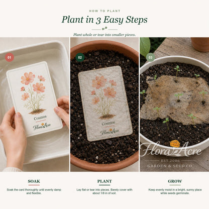 Flora Acre — 12 Plantable Seed Cards - Flora Acre